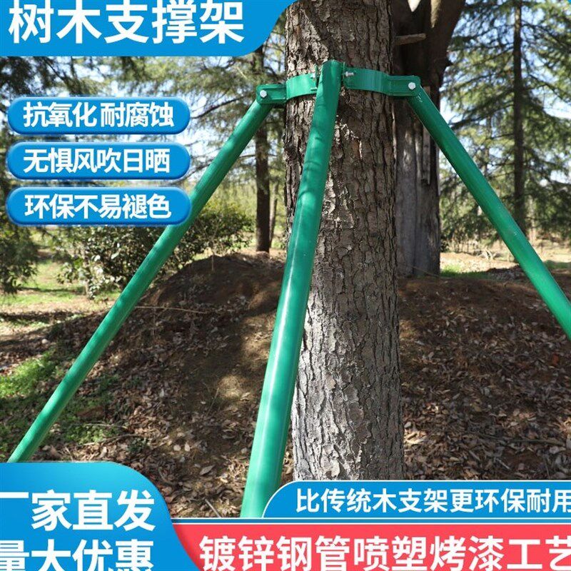 树木支撑架支架防风河道稳定性市政支撑杆苗木杉木园林移栽树杆