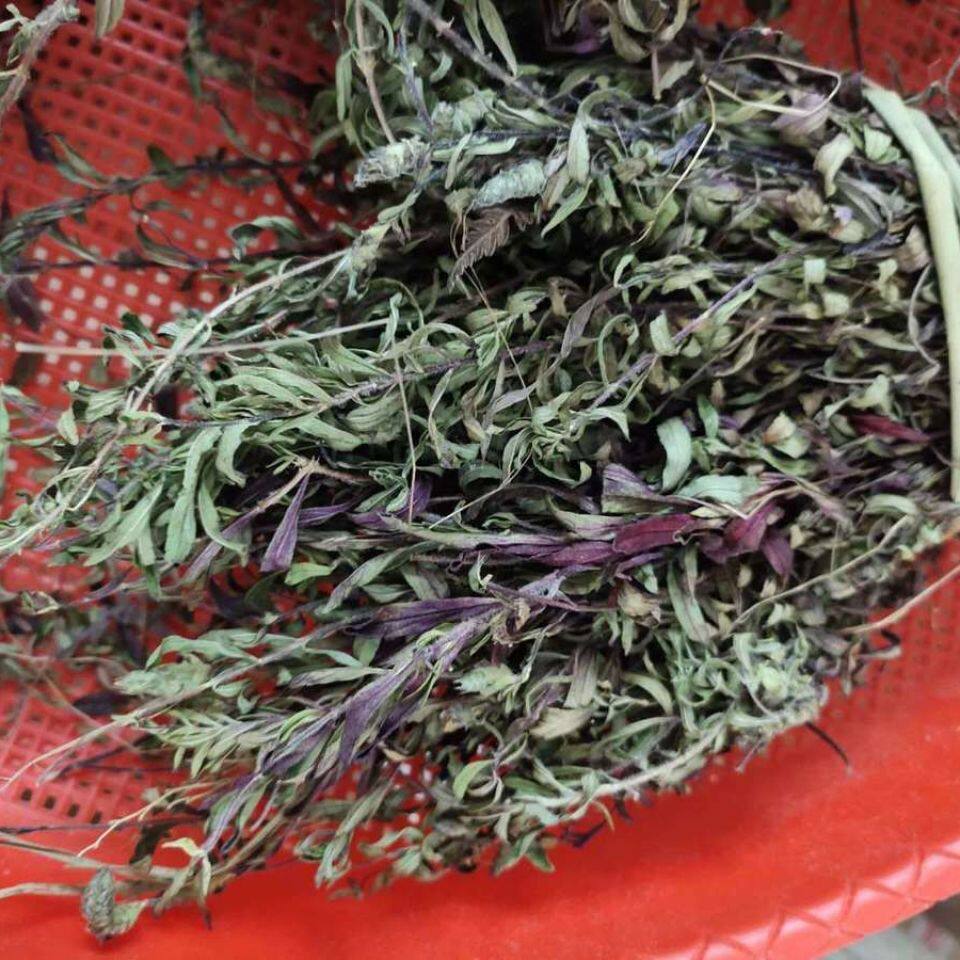 云南特产今年新货野山茶野生b花草茶茶叶小山茶东紫苏梭罗茶