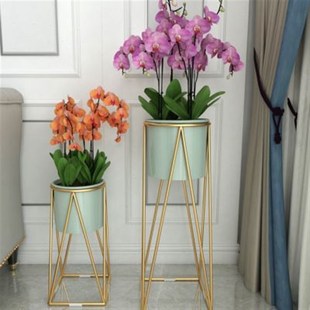 北欧铁艺简约花架室内客厅置物架花架子阳台落地式 绿萝绿植花盆架