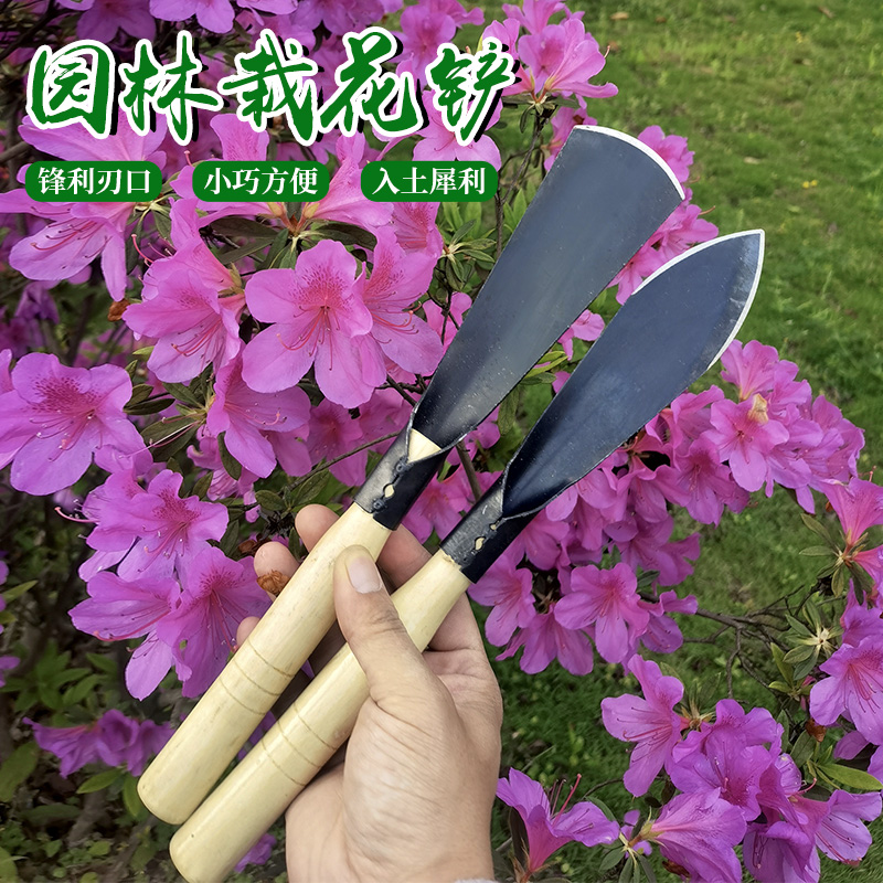 挖洞神器园艺小铲子种花工具户外挖野菜挖洞挖蒜专用家用不锈钢铲