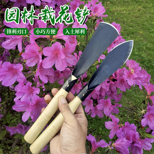 挖洞神器园艺小铲子种花工具户外挖野菜挖洞挖蒜专用家用不锈钢铲