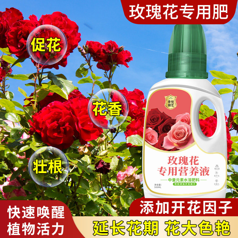 新品玫瑰花营养液盆栽玫瑰花专用肥蔷薇病虫害促花U养花开花液体
