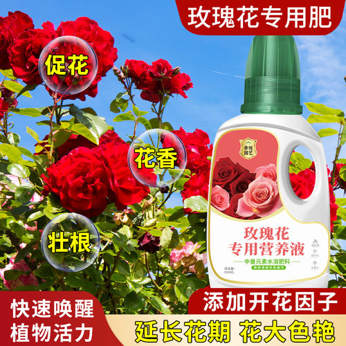 新品玫瑰花营养液盆栽玫瑰花专用肥蔷薇病虫害促花U养花开花液体