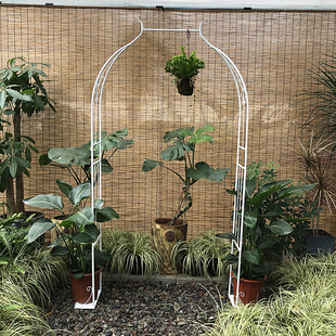 拱门花架爬藤架子拱形攀爬植物支架户 铁艺葡萄架钢g管铁线莲月季