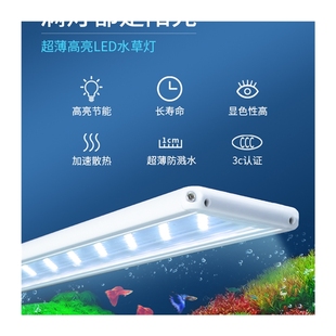 鱼缸光照出苔爆藻澡水藻灯植物生长雨林微景观全光谱仿太阳补光灯