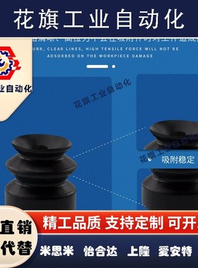 双层吸盘ZP2-02ZJN ZP2-05ZJS ZP2-04ZJS ZP2-06ZJN黑色防静电