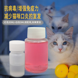 猫咪口腔溃疡犬猫狗口炎口臭流口水喷剂牙龈红肿消炎清洁肠胃调理