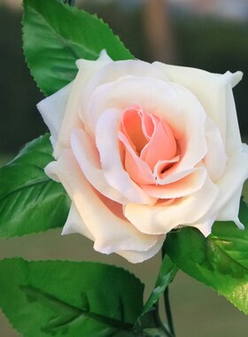 2.4M Artificial Rose Ivy Leaves Wedding Wall Background Arch