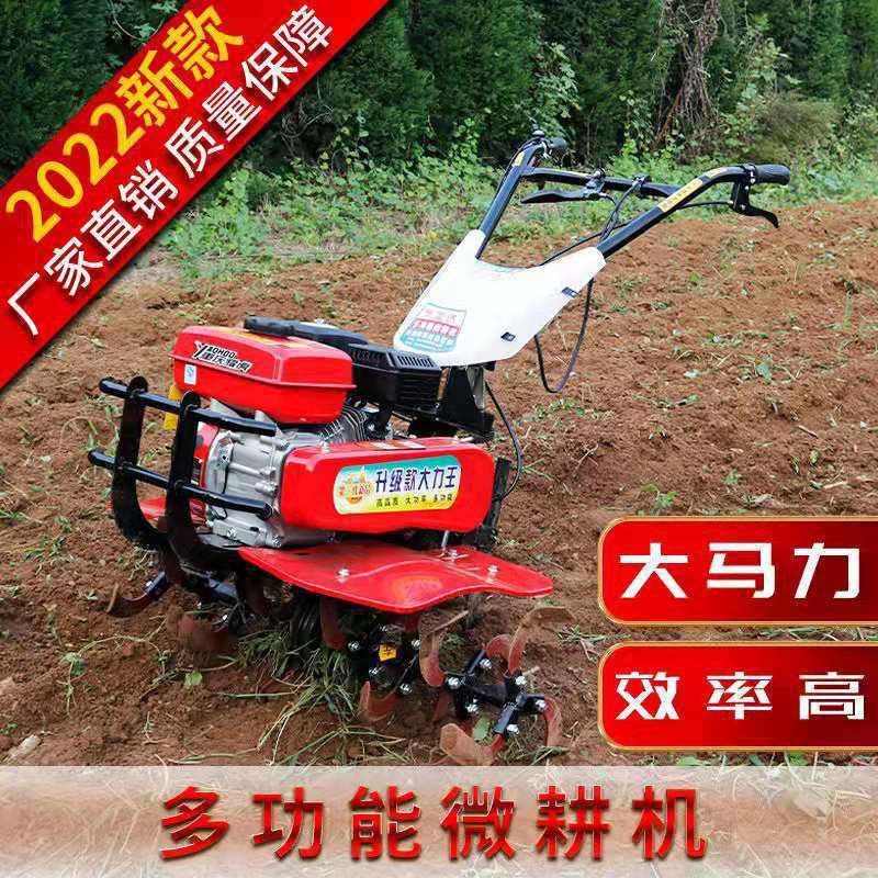 速发新款小型柴油小型耕耘机多功能农用犁地开沟山地翻土新型耕地
