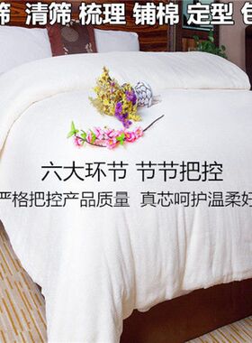 06YM床垫软垫学生o宿舍单人垫子垫加厚褥子棉花被絮垫被胎家用垫