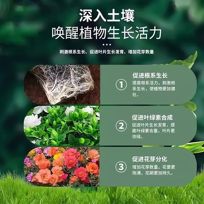 绿植花卉通用控释肥多肉颗粒缓释肥养花专用营R养肥料氮磷钾复合