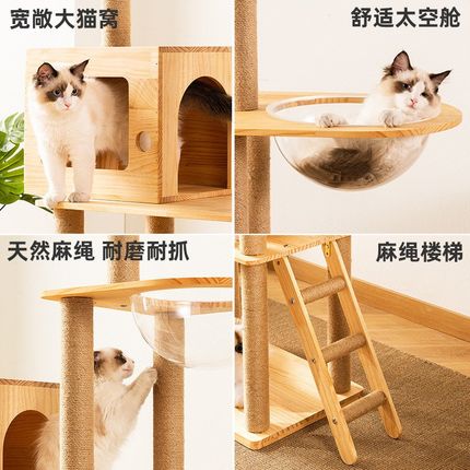 猫爬架猫窝猫树一体实木猫架子跳台小型大型抓柱太空舱猫咪用品全