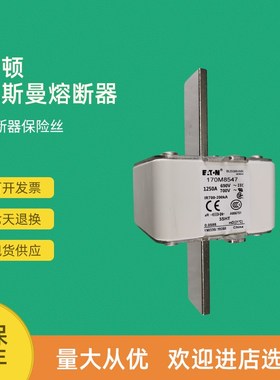 全新快速熔断器保险170M8511 170M8512 170M8513 170M8531