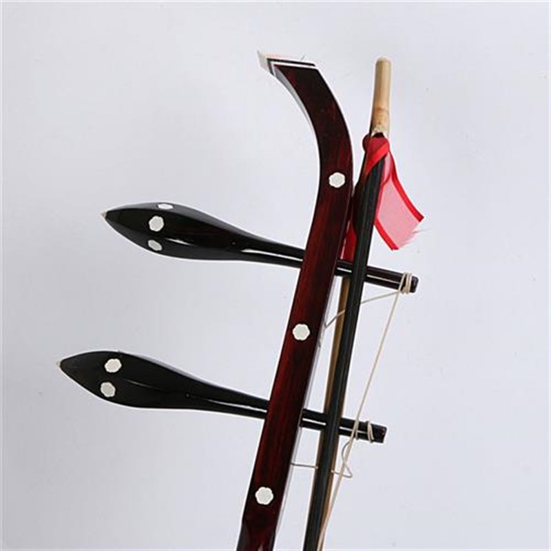 特卖潮州乐器椰胡冇弦独合奏塑料椰壳揭阳朱弟