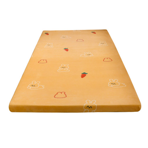 睡觉打地铺睡垫神器加厚卧室榻榻米垫子炕垫家用床垫子软垫可拆洗