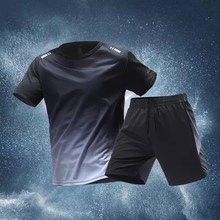 短裤 男女健身衣服速干夏季 t恤羽毛篮球足球跑步 冰A丝短袖 运动套装