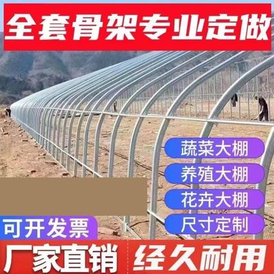 速发养鸡大棚全套温室支架单栋养鹅热浸镀锌拱杆薄膜阳光工程双膜