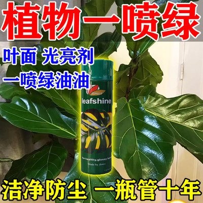 植物叶面光亮剂亮叶剂除尘剂w护花使者叶面清洁净光亮绿植增绿喷