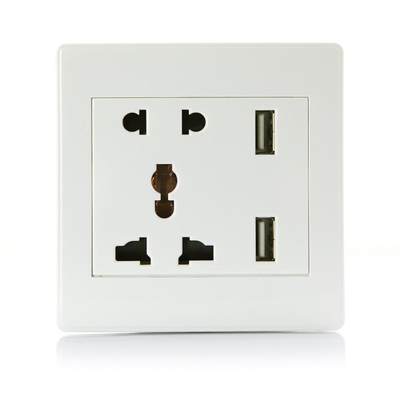 1 New Unigve sal Two USB2Wall Socket ConnectorrElectric