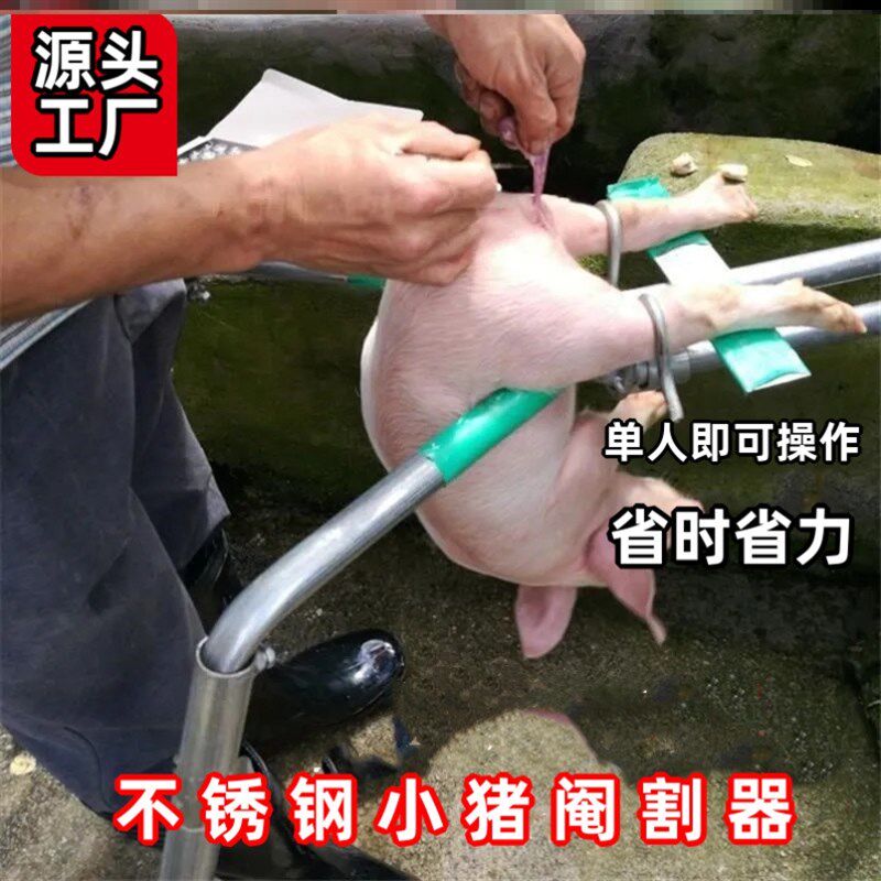 阉猪架仔猪敲猪架神器养殖场阉割刀工具小猪去势架腌猪阉割器架子
