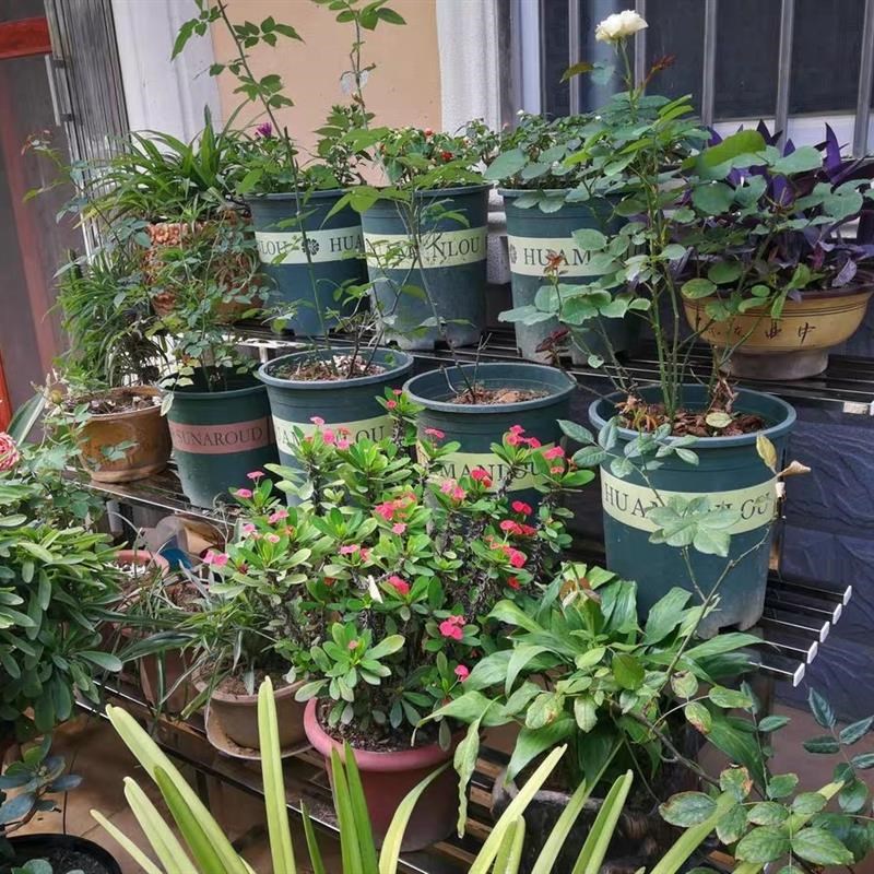 不锈钢阳台阶梯花架铁艺落地式多层多肉花架子室内室外花盆架