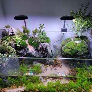 USB小型5V鱼缸灯藻缸溪流原生观赏缸LED全光谱水草灯5瓦7瓦可调光