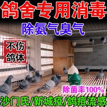 灭蚊蝇养殖场信鸽鹦鹉 网红鸽舍消毒液鸽子专用消毒液驱蚊神器夏季