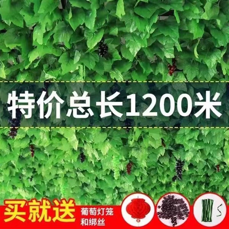 仿真葡萄叶藤蔓假花藤条吊顶树叶子水管道装饰缠绕绿植物塑料绿叶