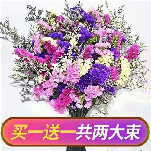 极速勿忘我满天星干燥花花束家居装饰花鲜花插花客厅花束干燥花超