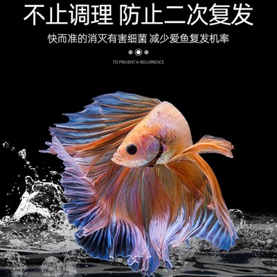 亚甲基蓝水族鱼专用水霉病白点病鱼药烂身烂尾专治白点净杀菌