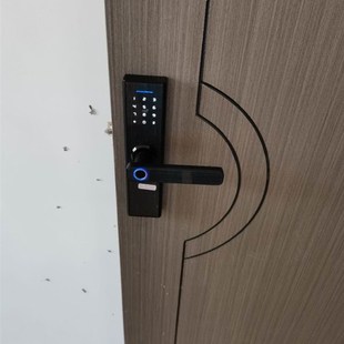 室内房门指纹锁卧室门家用防盗电子锁办公室公寓智能木门指纹锁