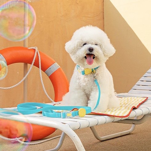 狗狗项圈防水狗圈狗项圈小型犬脖圈大型犬中型法斗泰迪柯基牵绳,宠物/宠物食品及用品,项圈/肩带,淘宝优惠券,粉丝福利购,淘宝优惠卷