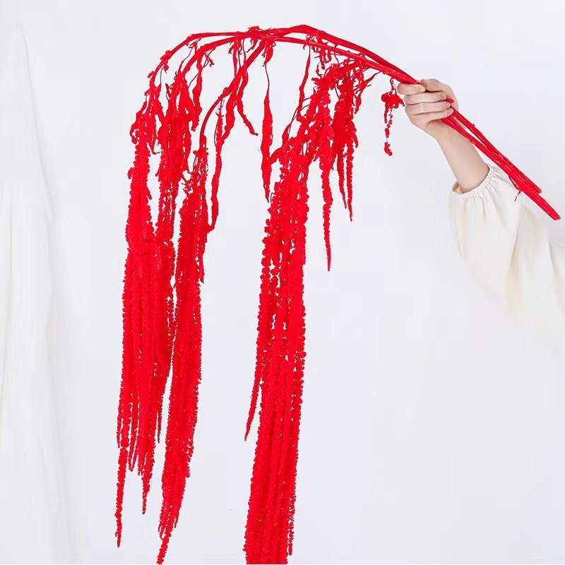 永生花吊米干花柔丽丝真花情人泪垂吊坠diy材料婚庆装饰布置