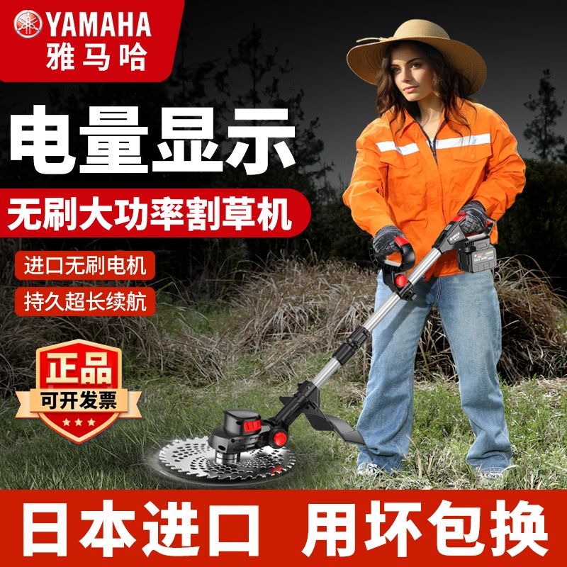 进口德国无刷电动割草机小型家用锂电充电式打草机大功率除草机除,农机/农具/农膜,割灌机/割草机/油锯,淘宝优惠券,粉丝福利购,淘宝优惠卷