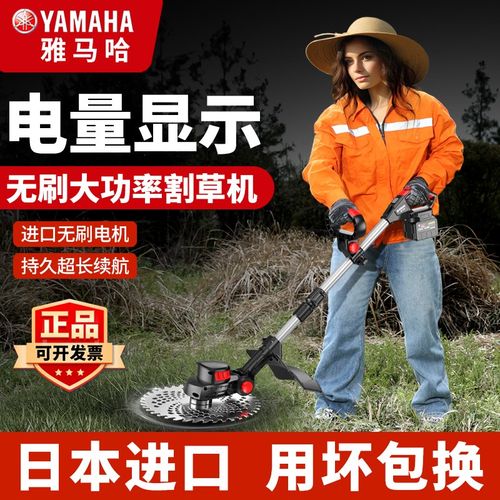 进口德国无刷电动割草机小型家用锂电充电式打草机大功率除草机除