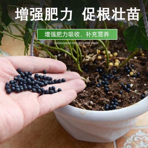 大丽花专用肥料大丽花专用营养土绿植专用肥室内盆栽磷钾肥防落叶