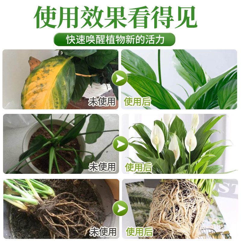 一帆风顺营养液免稀释红掌专用肥料花肥火鹤盆栽水培白掌营养液