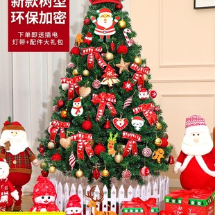 感ins圣诞节装 圣诞树家用套餐加密diy发光大型摆件2024新款 饰