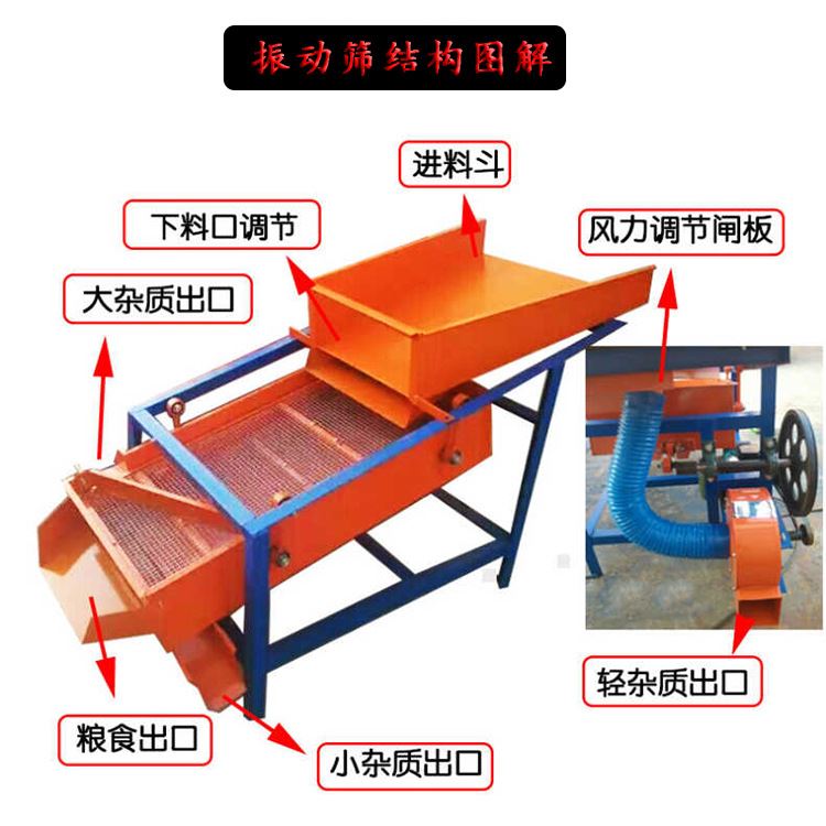 新品辣木籽除杂筛选机 优质v净粮过筛机 大豆清选机 双层直线振动