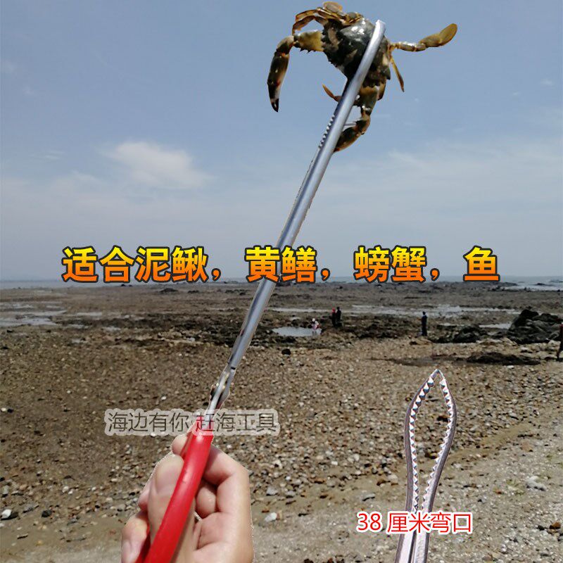 小众高货挖蛤蜊神器耙子不带滤网蚬子海鲜儿童赶海工具套装桶专用