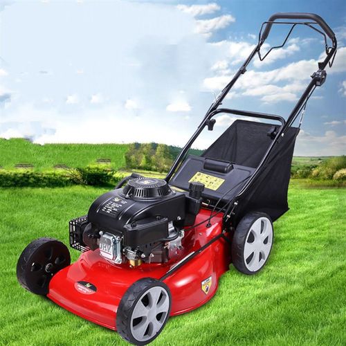 节省人工20寸手推式草场割草机 汽油草坪剪草机 四冲程果园除草机