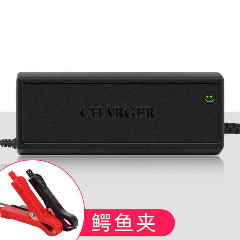 12V20A30A12.6V电动叉车房车储能锂电池电瓶充电器房车高观光车