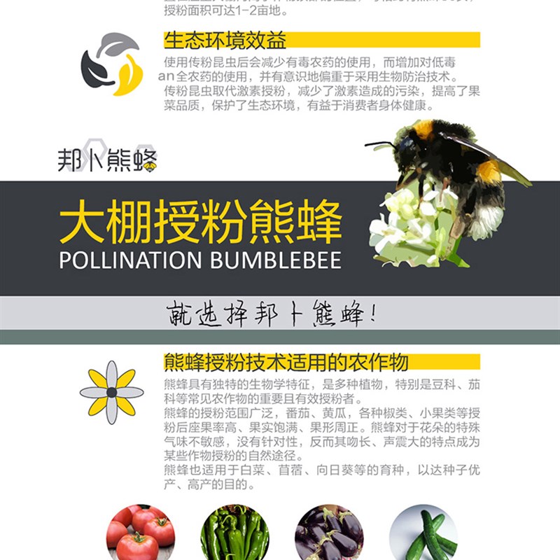 邦卜授粉期蜂f除花熊授粉 草莓番茄茄子黄瓜授粉 4箱9折 包邮 偏