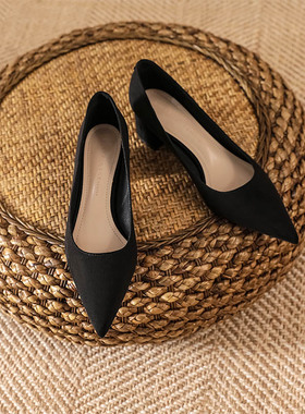 磨砂绒面高跟鞋女黑色职业低跟2z023新款夏尖头浅口软皮粗跟不累