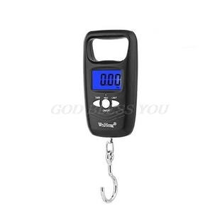 Scale 极速Mini Portable Spring Electronic Fishing