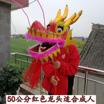 舞龙舞狮道具龙儿童学生幼儿园龙头龙尾布龙龙狮表演龙灯服装演出