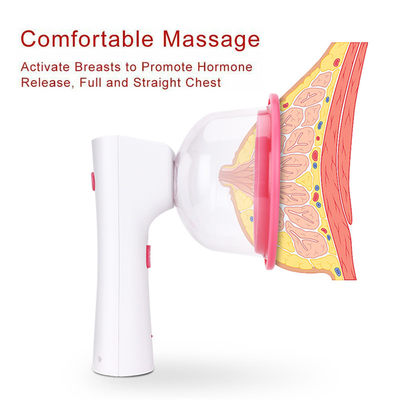 网红2 size Breast Massage Therapy Machine Enlargement Pump L