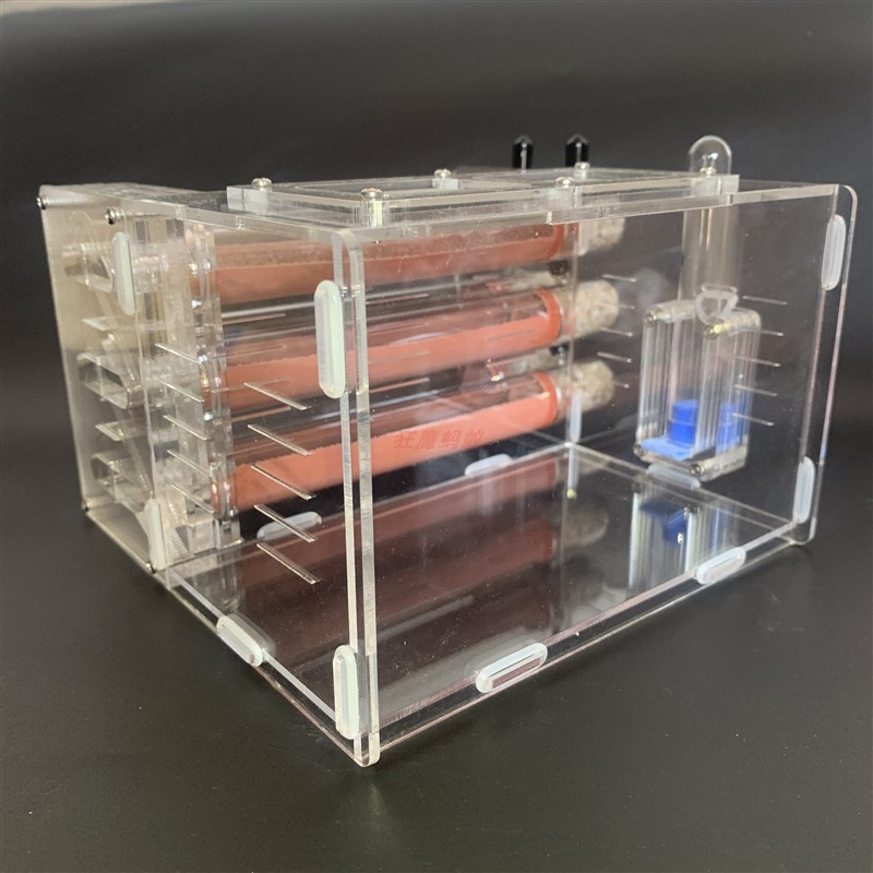 25口径6试管巢  大蚁道 大尺寸 大活动区625狂魔蚂蚁竹节巢