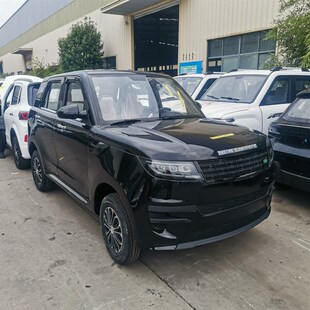 新能源电动四轮车老年成人家庭出行小轿车供应多种款式汽车