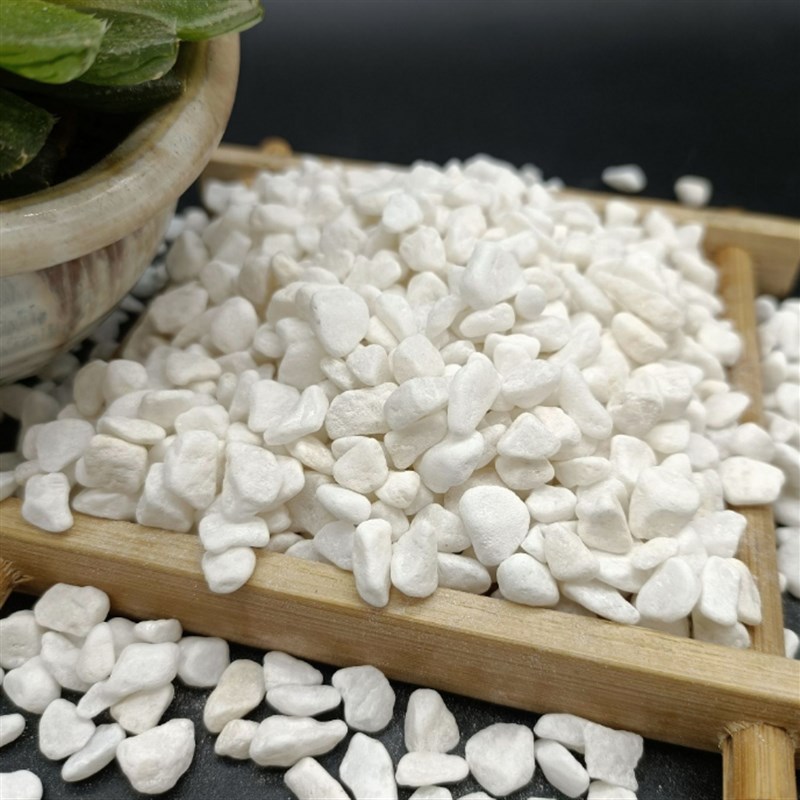 广西白石子白石头白色装饰园艺铺路石头铺面石庭院造景白石子